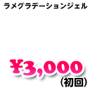 ラメグラデーションジェル　3,000円