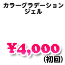 カラーグラデーションジェル　4,000円