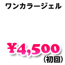 ワンカラージェル　4,500円